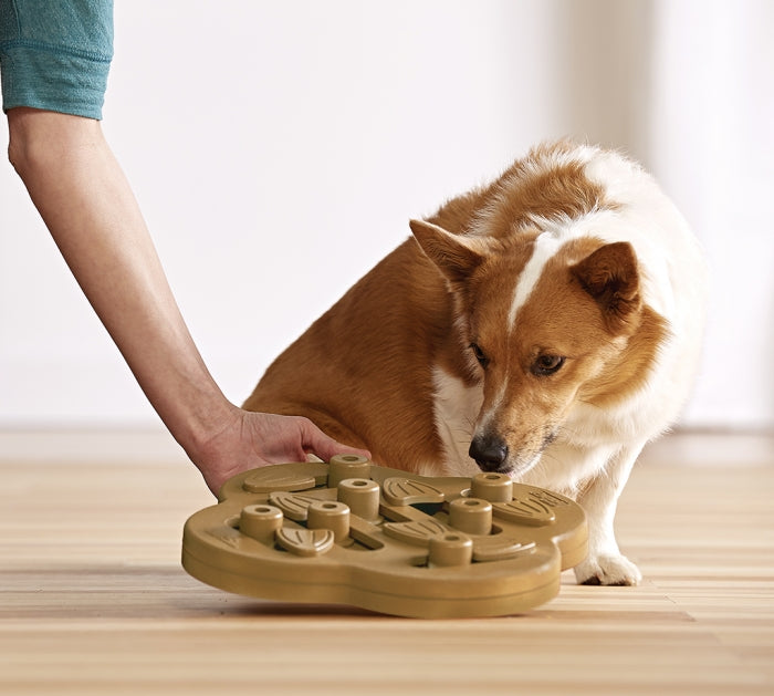 LICKIN' LAYERS - DOG PUZZLE & FEEDER IN ONE - Nina
